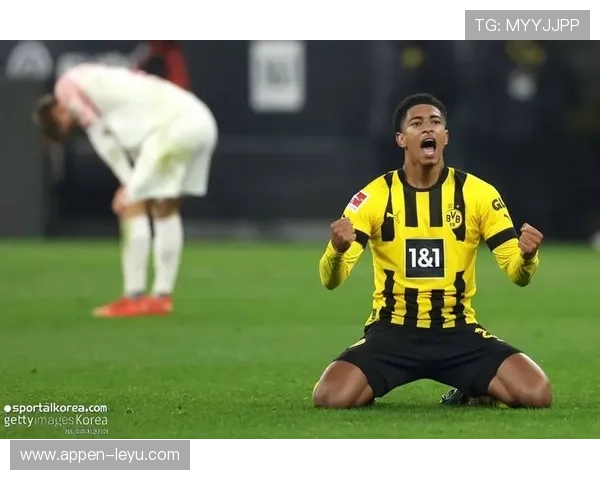 多特蒙德新星崭露头角，表现引发足坛关注