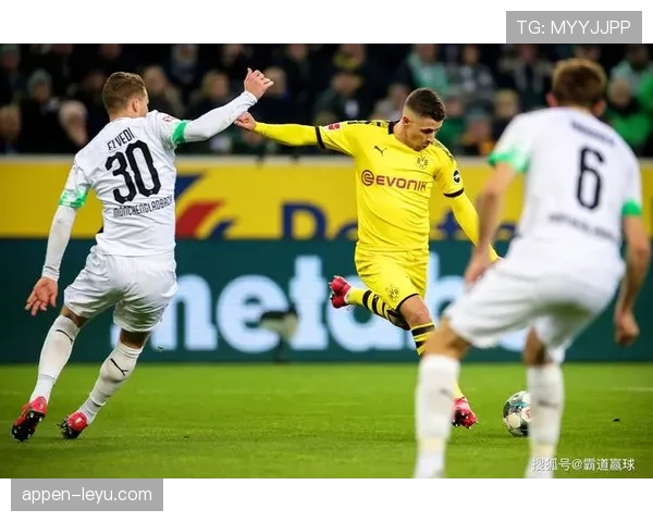 哈兰德深情回顾德甲岁月，多特蒙德成长轨迹与高光时刻引关注