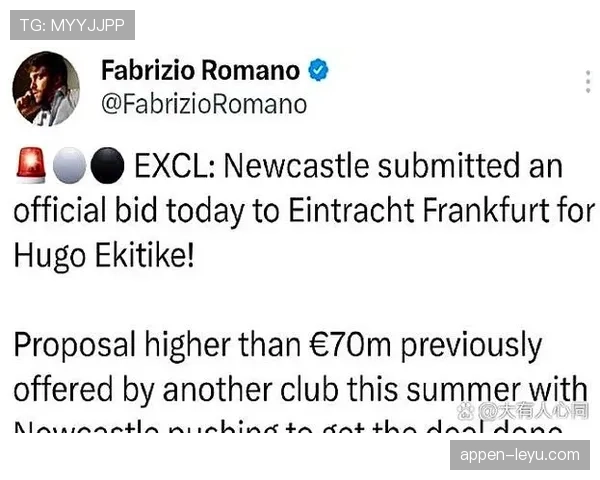 德甲转会市场迎新潮：新星加盟与老将离队重塑球队格局