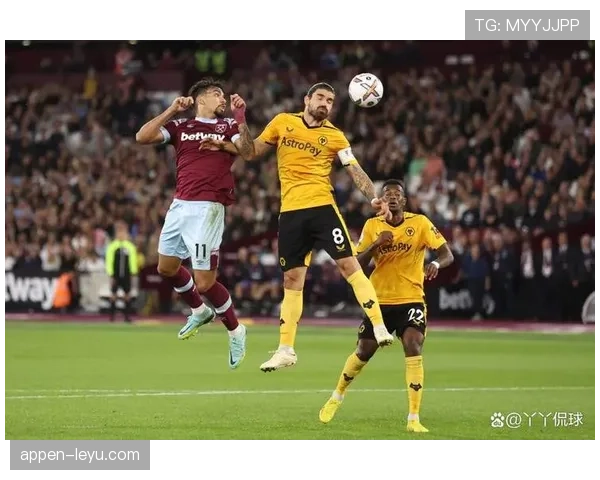 狼队防守数据持续优化，坚韧防线成球队逆袭关键